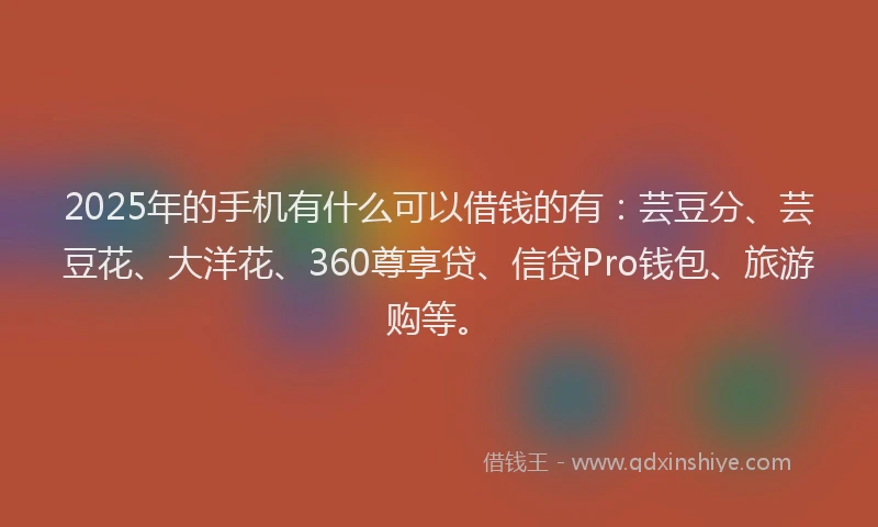2025年的手机有什么可以借钱的有：芸豆分、芸豆花、大洋花、360尊享贷、信贷Pro钱包、旅游购等。