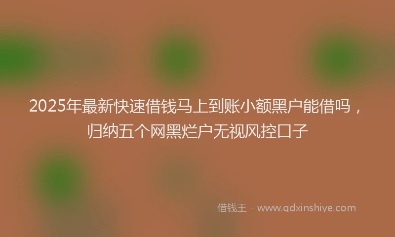 2025年最新快速借钱马上到账小额黑户能借吗，归纳五个网黑烂户无视风控口子