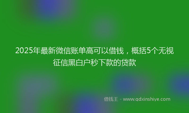 2025年最新微信账单高可以借钱，概括5个无视征信黑白户秒下款的贷款