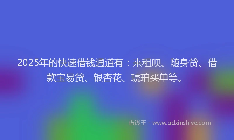 2025年的快速借钱通道有：来租呗、随身贷、借款宝易贷、银杏花、琥珀买单等。