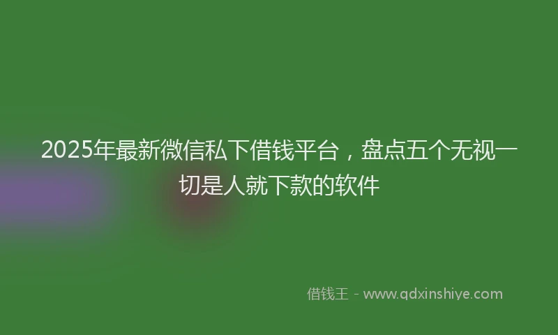 2025年最新微信私下借钱平台，盘点五个无视一切是人就下款的软件