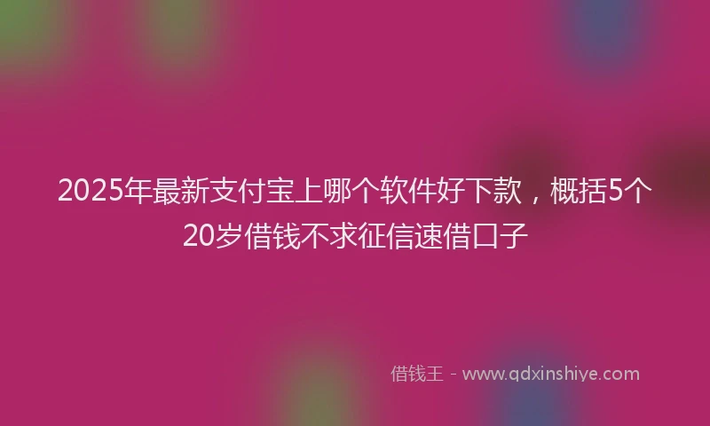 2025年最新支付宝上哪个软件好下款，概括5个20岁借钱不求征信速借口子