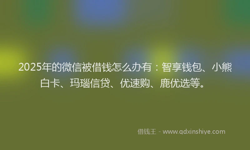 2025年的微信被借钱怎么办有：智享钱包、小熊白卡、玛瑙信贷、优速购、鹿优选等。