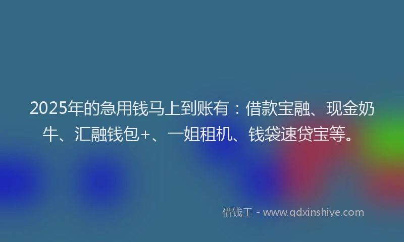 2025年的急用钱马上到账有：借款宝融、现金奶牛、汇融钱包+、一姐租机、钱袋速贷宝等。