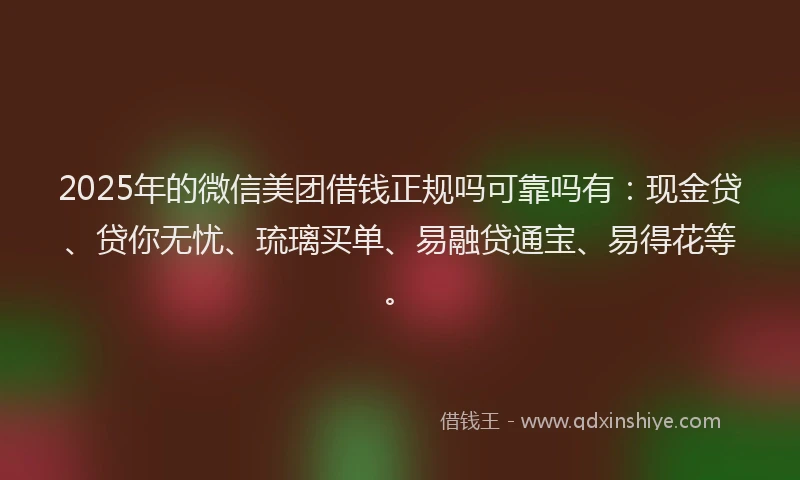 2025年的微信美团借钱正规吗可靠吗有：现金贷、贷你无忧、琉璃买单、易融贷通宝、易得花等。
