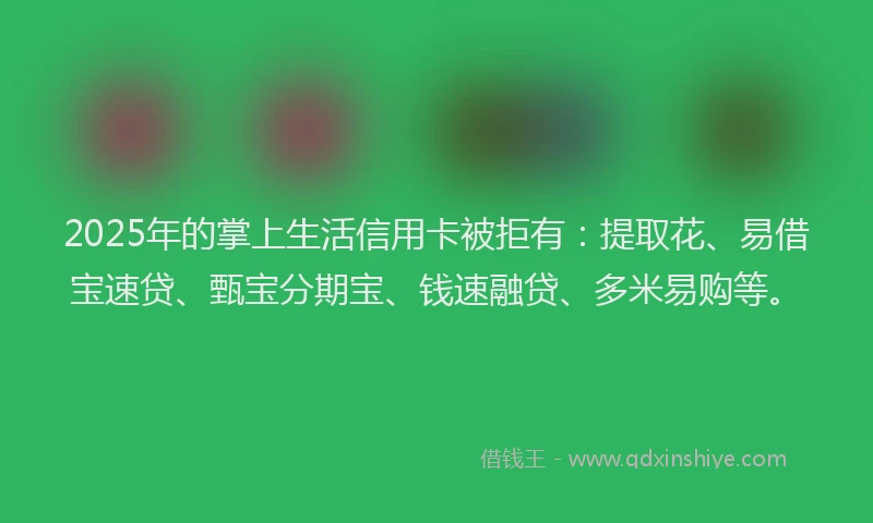 2025年的掌上生活信用卡被拒有：提取花、易借宝速贷、甄宝分期宝、钱速融贷、多米易购等。