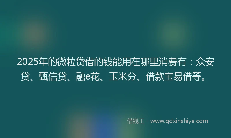 2025年的微粒贷借的钱能用在哪里消费有：众安贷、甄信贷、融e花、玉米分、借款宝易借等。