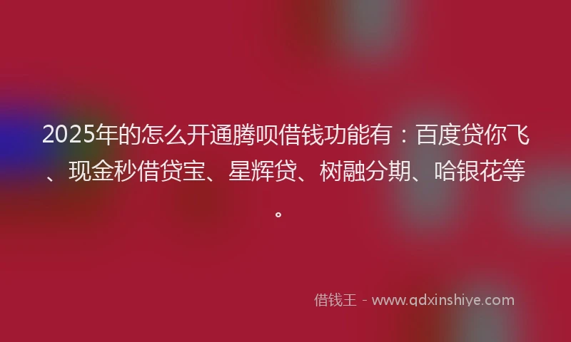 2025年的怎么开通腾呗借钱功能有：百度贷你飞、现金秒借贷宝、星辉贷、树融分期、哈银花等。