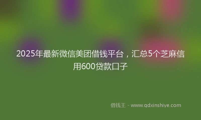 2025年最新微信美团借钱平台，汇总5个芝麻信用600贷款口子