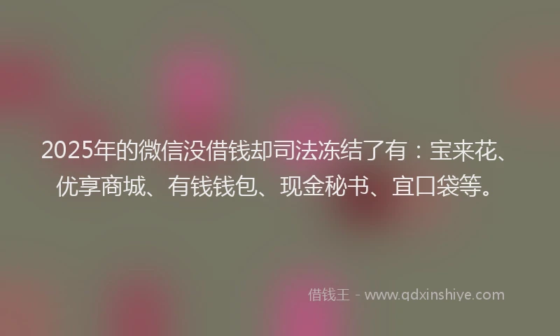 2025年的微信没借钱却司法冻结了有：宝来花、优享商城、有钱钱包、现金秘书、宜口袋等。