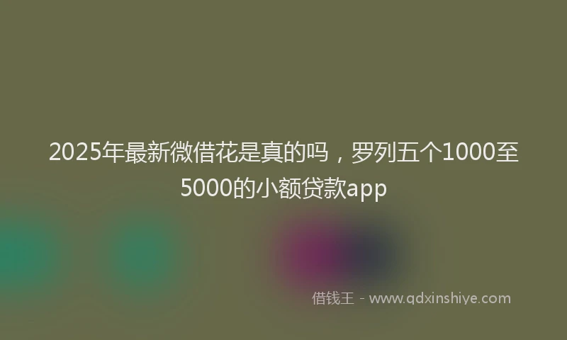 2025年最新微借花是真的吗，罗列五个1000至5000的小额贷款app