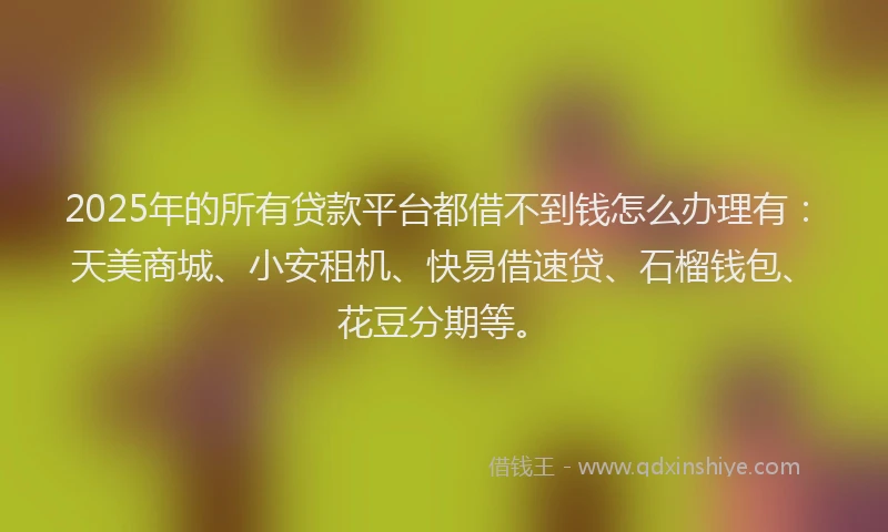 2025年的所有贷款平台都借不到钱怎么办理有：天美商城、小安租机、快易借速贷、石榴钱包、花豆分期等。