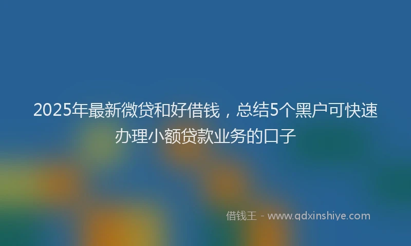 2025年最新微贷和好借钱，总结5个黑户可快速办理小额贷款业务的口子