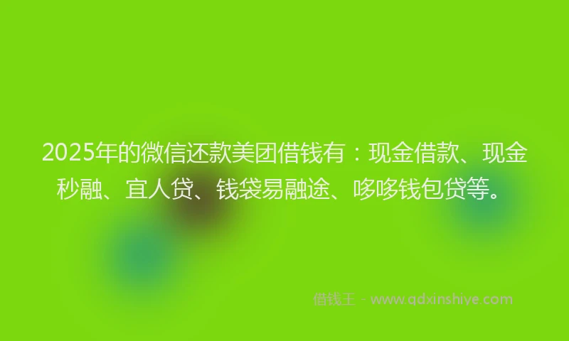 2025年的微信还款美团借钱有：现金借款、现金秒融、宜人贷、钱袋易融途、哆哆钱包贷等。