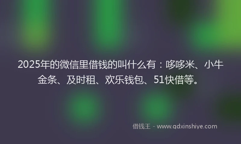 2025年的微信里借钱的叫什么有：哆哆米、小牛金条、及时租、欢乐钱包、51快借等。