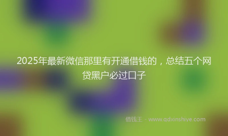 2025年最新微信那里有开通借钱的，总结五个网贷黑户必过口子
