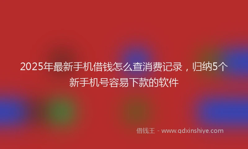 2025年最新手机借钱怎么查消费记录，归纳5个新手机号容易下款的软件