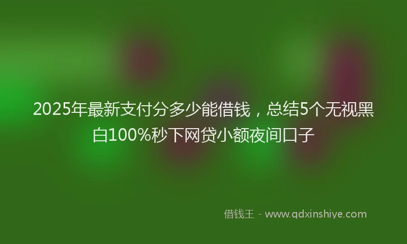 2025年最新支付分多少能借钱，总结5个无视黑白100%秒下网贷小额夜间口子