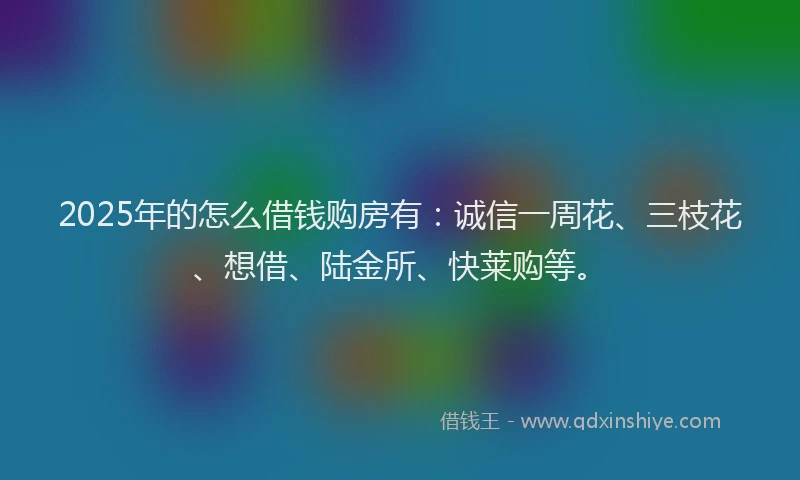 2025年的怎么借钱购房有：诚信一周花、三枝花、想借、陆金所、快莱购等。