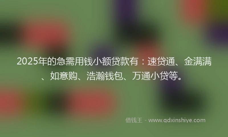 2025年的急需用钱小额贷款有：速贷通、金满满、如意购、浩瀚钱包、万通小贷等。