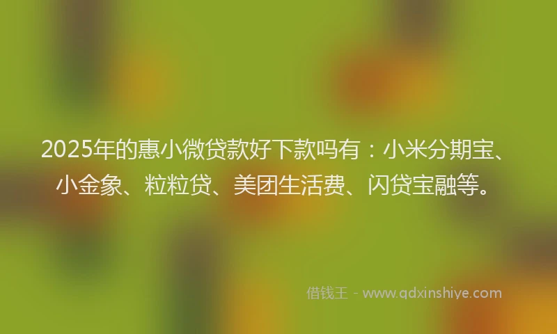 2025年的惠小微贷款好下款吗有：小米分期宝、小金象、粒粒贷、美团生活费、闪贷宝融等。