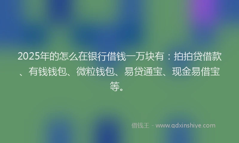 2025年的怎么在银行借钱一万块有:拍拍贷借款、有钱钱包、微粒钱包、易贷通宝、现金易借宝等。
