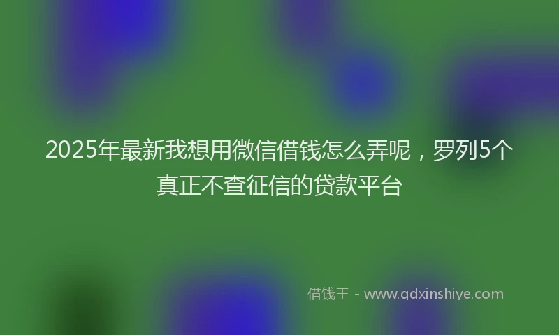 2025年最新我想用微信借钱怎么弄呢，罗列5个真正不查征信的贷款平台