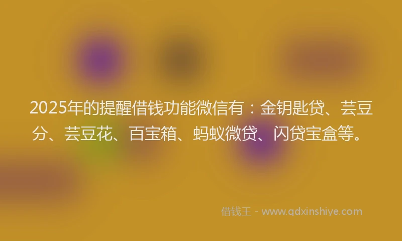 2025年的提醒借钱功能微信有：金钥匙贷、芸豆分、芸豆花、百宝箱、蚂蚁微贷、闪贷宝盒等。