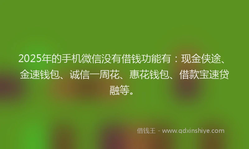 2025年的手机微信没有借钱功能有：现金侠途、金速钱包、诚信一周花、惠花钱包、借款宝速贷融等。