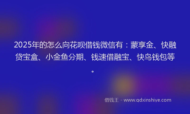 2025年的怎么向花呗借钱微信有：蒙享金、快融贷宝盒、小金鱼分期、钱速借融宝、快鸟钱包等。