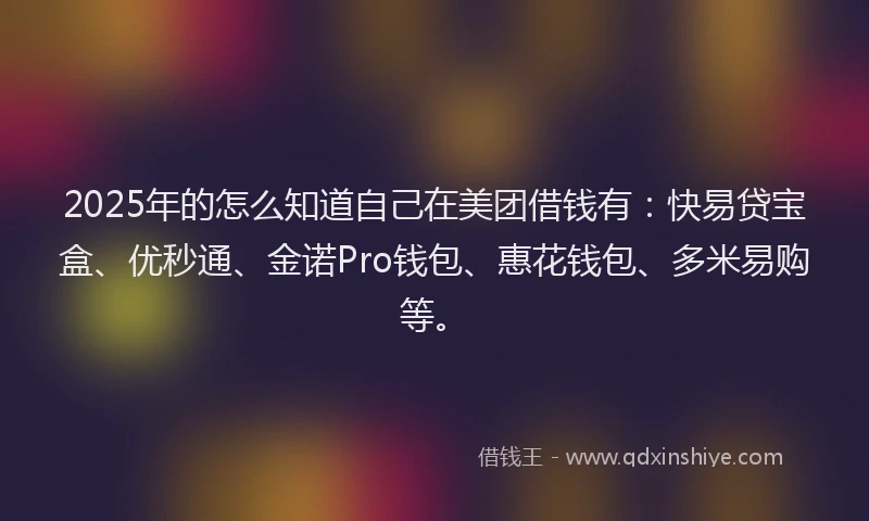 2025年的怎么知道自己在美团借钱有：快易贷宝盒、优秒通、金诺Pro钱包、惠花钱包、多米易购等。