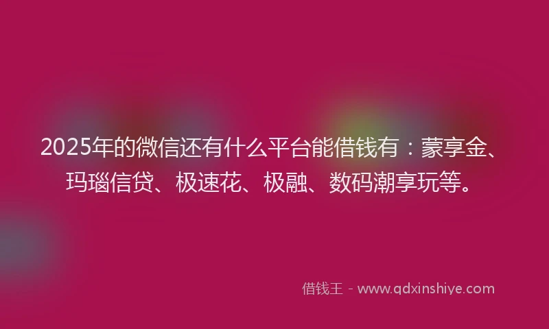 2025年的微信还有什么平台能借钱有：蒙享金、玛瑙信贷、极速花、极融、数码潮享玩等。