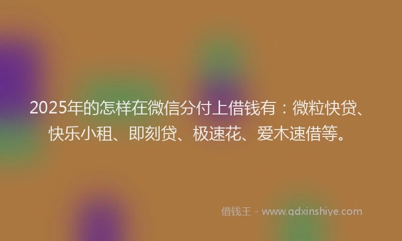 2025年的怎样在微信分付上借钱有：微粒快贷、快乐小租、即刻贷、极速花、爱木速借等。