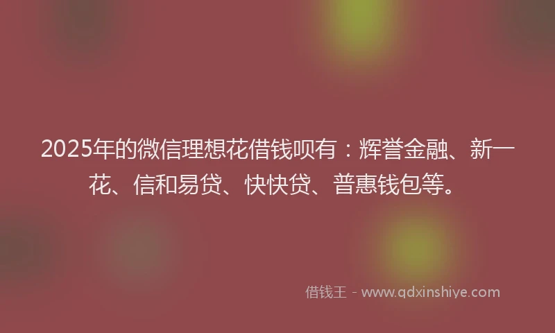 2025年的微信理想花借钱呗有：辉誉金融、新一花、信和易贷、快快贷、普惠钱包等。