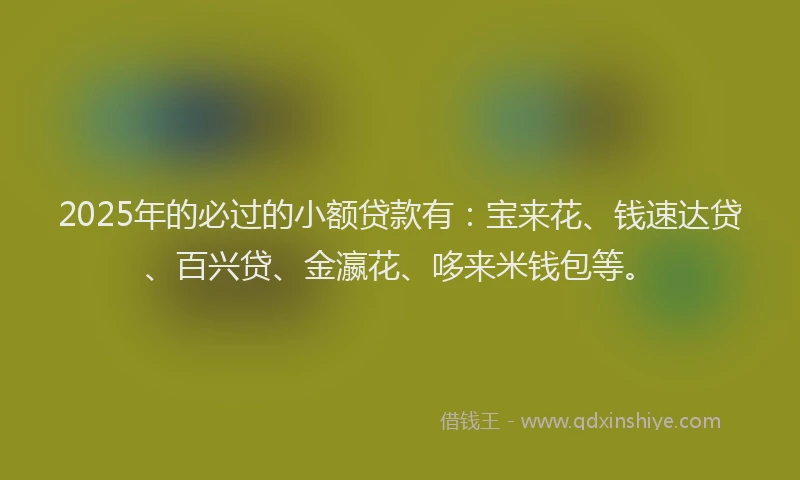 2025年的必过的小额贷款有：宝来花、钱速达贷、百兴贷、金瀛花、哆来米钱包等。