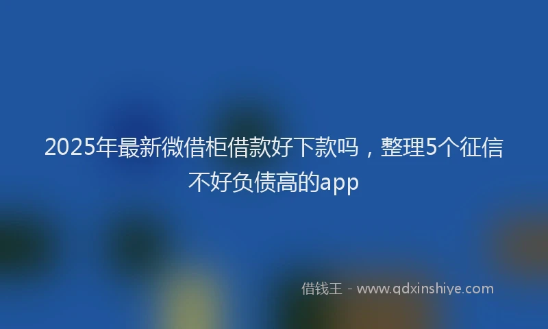 2025年最新微借柜借款好下款吗，整理5个征信不好负债高的app