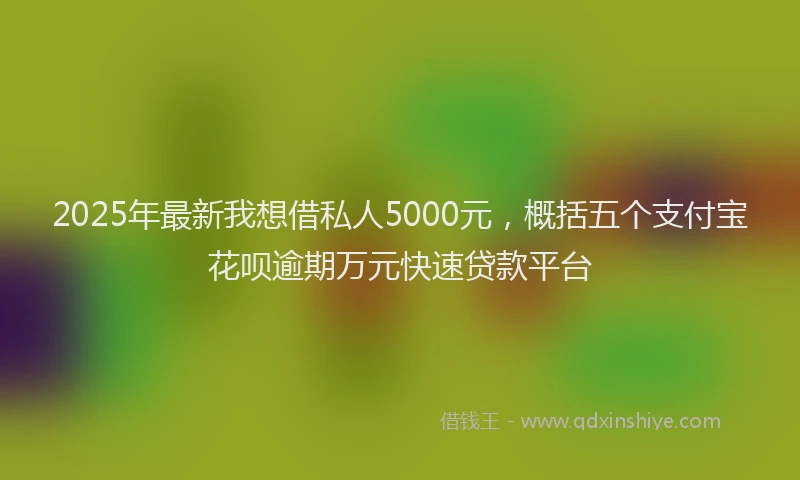 2025年最新我想借私人5000元，概括五个支付宝花呗逾期万元快速贷款平台