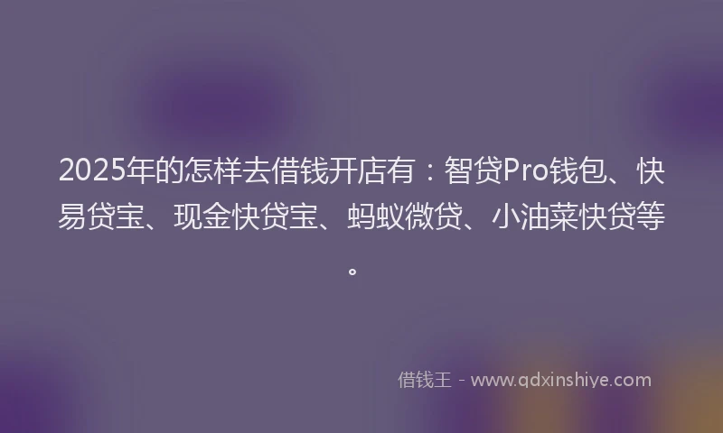 2025年的怎样去借钱开店有：智贷Pro钱包、快易贷宝、现金快贷宝、蚂蚁微贷、小油菜快贷等。