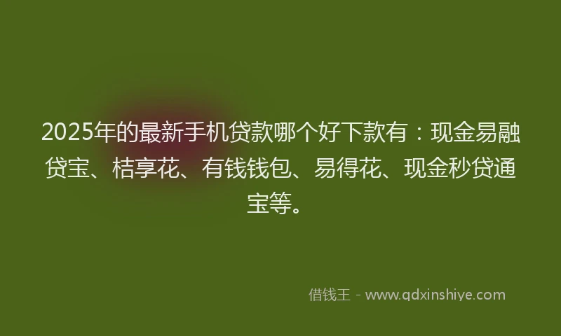 2025年的最新手机贷款哪个好下款有：现金易融贷宝、桔享花、有钱钱包、易得花、现金秒贷通宝等。