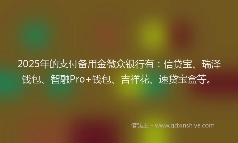 2025年的支付备用金微众银行有：信贷宝、瑞泽钱包、智融Pro+钱包、吉祥花、速贷宝盒等。