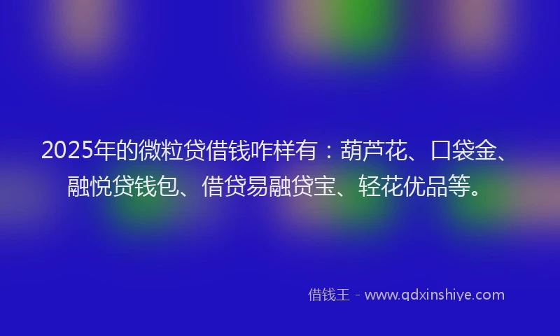 2025年的微粒贷借钱咋样有：葫芦花、口袋金、融悦贷钱包、借贷易融贷宝、轻花优品等。