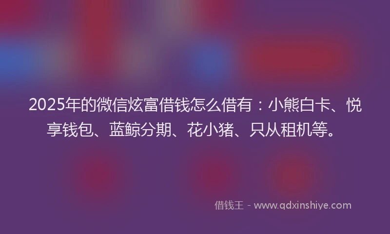 2025年的微信炫富借钱怎么借有：小熊白卡、悦享钱包、蓝鲸分期、花小猪、只从租机等。