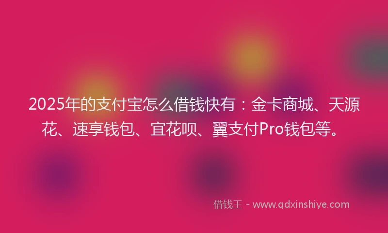 2025年的支付宝怎么借钱快有：金卡商城、天源花、速享钱包、宜花呗、翼支付Pro钱包等。