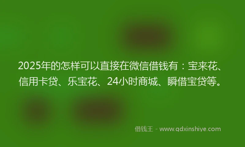 2025年的怎样可以直接在微信借钱有：宝来花、信用卡贷、乐宝花、24小时商城、瞬借宝贷等。