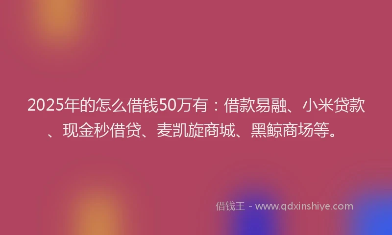2025年的怎么借钱50万有：借款易融、小米贷款、现金秒借贷、麦凯旋商城、黑鲸商场等。