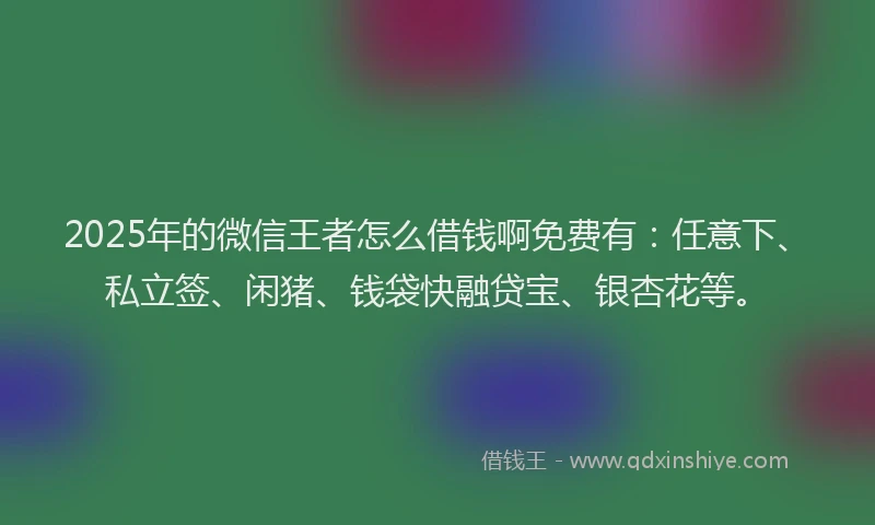 2025年的微信王者怎么借钱啊免费有：任意下、私立签、闲猪、钱袋快融贷宝、银杏花等。