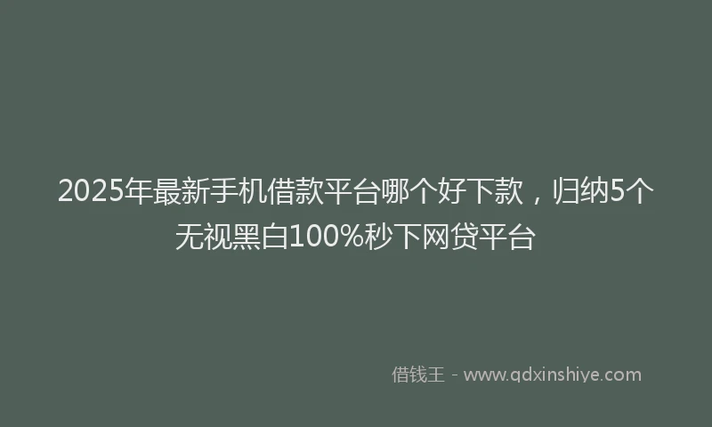 2025年最新手机借款平台哪个好下款，归纳5个无视黑白100%秒下网贷平台