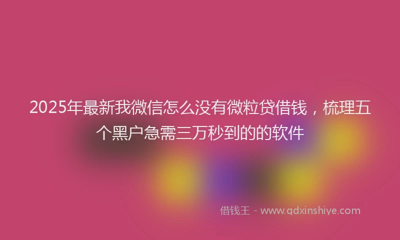 2025年最新我微信怎么没有微粒贷借钱，梳理五个黑户急需三万秒到的的软件