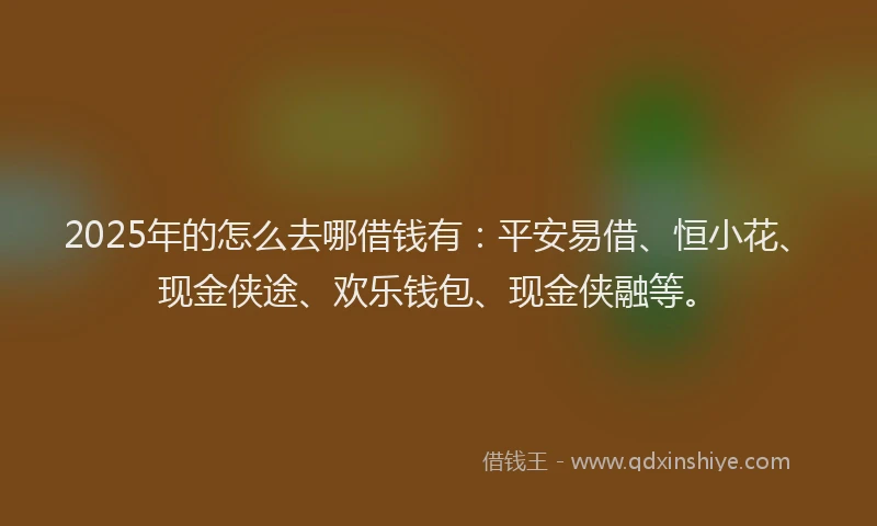 2025年的怎么去哪借钱有：平安易借、恒小花、现金侠途、欢乐钱包、现金侠融等。