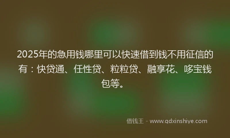 2025年的急用钱哪里可以快速借到钱不用征信的有：快贷通、任性贷、粒粒贷、融享花、哆宝钱包等。